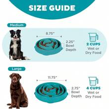 Hound Fun Feeder Slo Bowl, Slow Feeder Dog Bowl, Medium/Mini, Turquoise - Màu ngọc lam - Xem 5