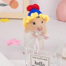 手工编织宠物帽，迷你宠物帽，可爱动物帽，包括考拉、青蛙、编织、仓鼠、鸟