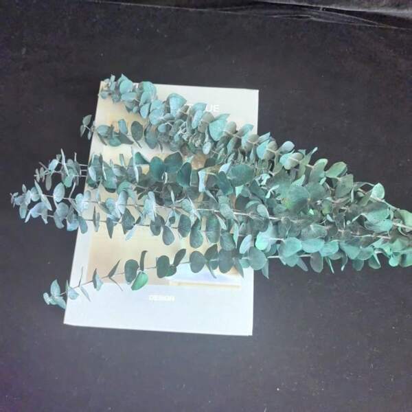 10/20pcs Blue Preserved Eucalyptus Stems - 17" Hanging Eucalyptus For Shower, Green Leaves For Boho Chic Home Decor, Suitable For Spring, Valentine's Day And St. Patrick's Day Arrangements