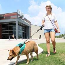 New Fiyade 8m Retractable Lead With 2 Chew Proof Cable Steel Chain Double Extendable For Medium Large Dog Up To 110lbs - White - View 7