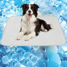 Nuovo tappetino refrigerante estivo per cani, letto freddo per animali domestici per cani e gatti di grandi e piccole dimensioni, accessori per animali domestici, coperta durevole, cuscino di ghiaccio per divano