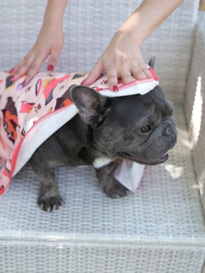 Made In Turkey – Pet Drying Towel Set For Cats & Dogs – 50x100 Cm Towel + 20x23 Cm Glove – Super Absorbent Microfiber – Quick-Dry & Gentle – 2 Pieces