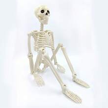 1 件/4 件/10 件可调节关节万圣节骷髅南瓜头骨架，逼真的人骨装饰，适用于万圣节派对装饰、恶作剧和场景布置