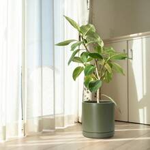 SEDGSRTGD 3.5 Inch Ceramic Planter Pot With Drainage Hole And Saucer, Indoor Cylinder Round Planter Pot, White, 94-O-A-1