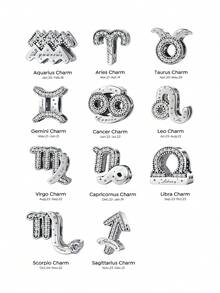 1 pièce Perle en argent sterling 925 avec 12 signes du zodiaque et trèfle à quatre feuilles, convient pour la fabrication de bracelets, bracelets et accessoires quotidiens pour femmes et filles, idéal pour la rentrée scolaire - Argent - Voir 9
