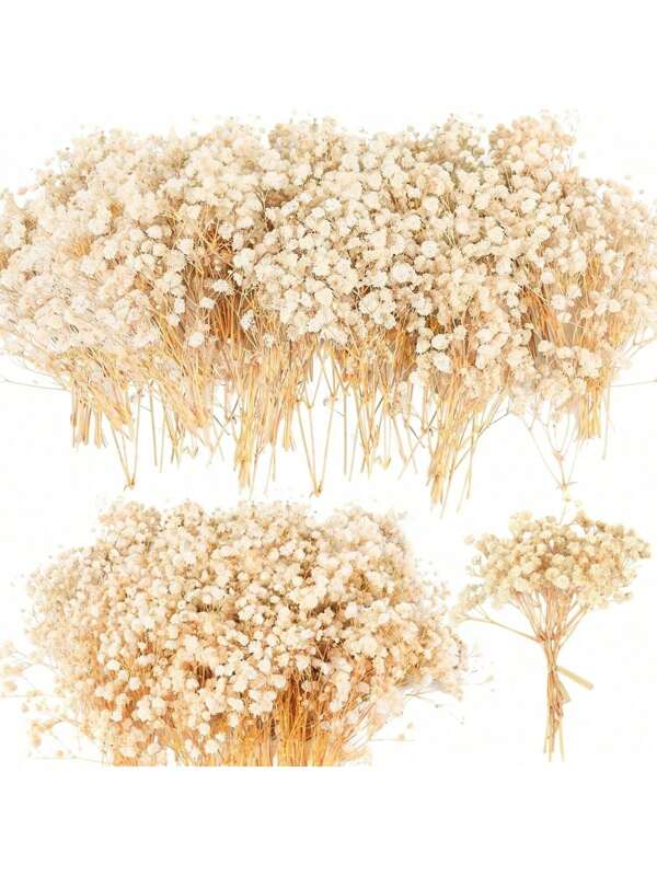 50/80Pcs Dried Babys Breath Flowers Bulk Ivory White Babys Breath Natural Gypsophila Dried Flowers Real Pressed Flowers For Wedding Christmas Resin Art Craft DIY Invitations Card Making A Bouquet Of 10 Flowers