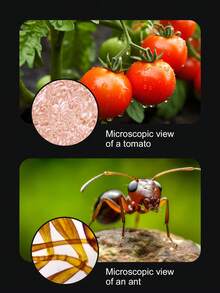 200X Portable Handheld Microscope For Kids, High Definition STEM Educational Science Experiment Toy, Outdoor Observation Gift For 6-15 Years Old Children - Multicolor - View 8