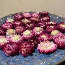 10/20/60 قطعة من أزهار البابونج المجففة الطبيعية للخارج - مصنوعة من مادة القش - زخرفة DIY والأعراس والهالوين والكريسماس وترتيب الطاولة وتشكيلات عباد الشمس والزهور الأخرى