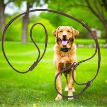Medium Brown Martingale Dog Show Leash - 10-18 Inches (25cm-36cm) - Quality Craftsmanship - Made In The USA