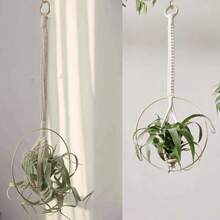 Wall Decoration