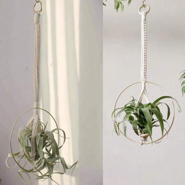 Wall Decoration