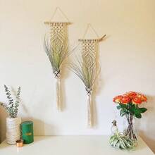 Wall Decoration