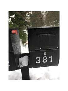 10 Pack Mailbox Numbers 0-9, Door Address Numbers Stickers For Apartment, House, Room, Office, Cars, Trucks, Black, Silver, Bronze, Golden, Plating Process Number Sign