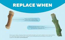 Outward Hound Dogwood Wood Durable Dog Chew Toys, Real Wood & Calming Hemp, 2-Pack, Medium - Nấm Dogwood - Xem 2