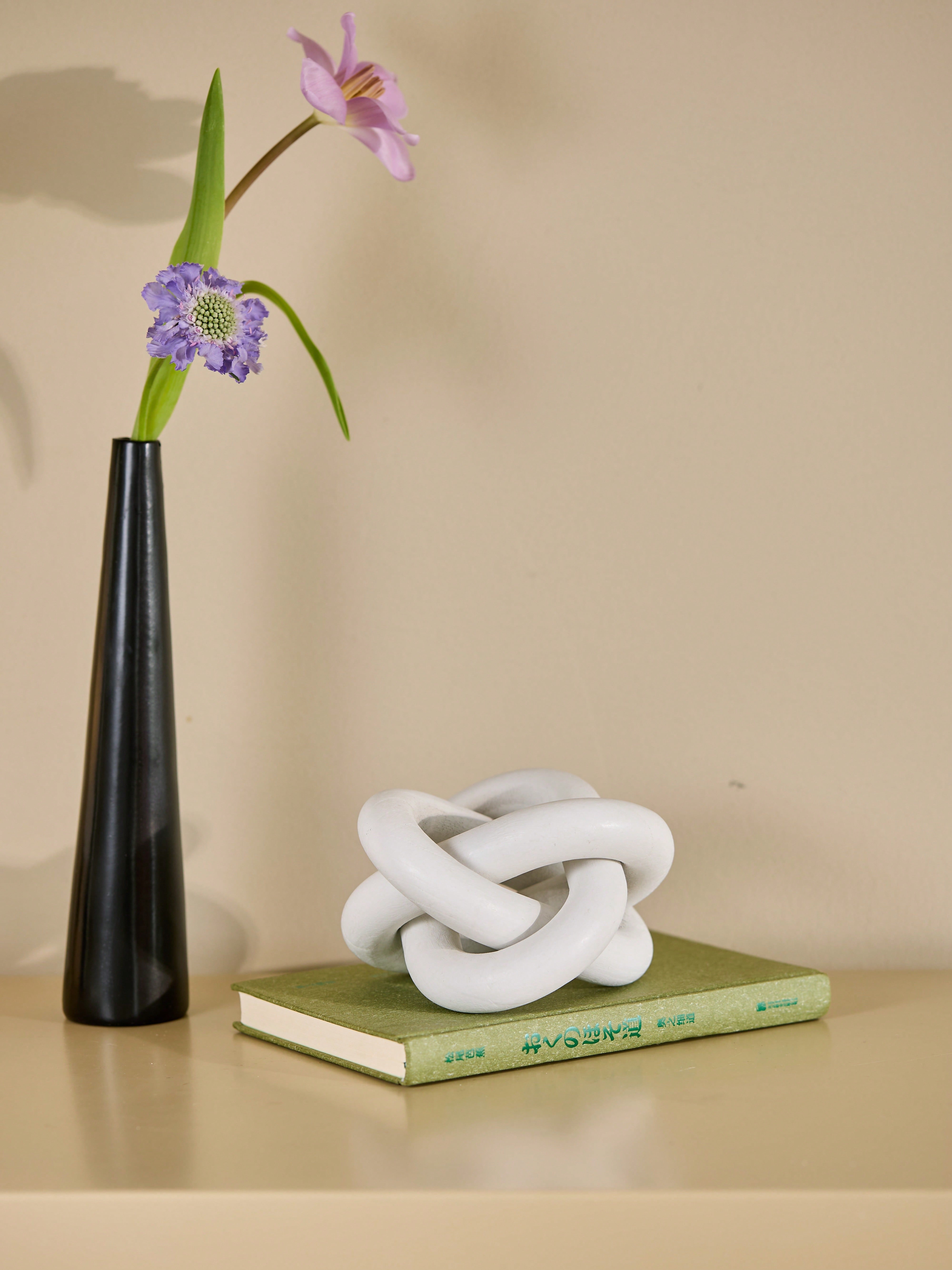 Cirelle رف منزلي حديث وطاولة قهوة بوهيمية ريفية -...