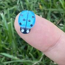10/30/50/100pcs Lady Bug Garden Decor, Landscape Figurines For Succulent Pot, Wooden Craft Insect DIY Accessories,Cartoon Simulation Beetle Shaped Mixed Resin Patch