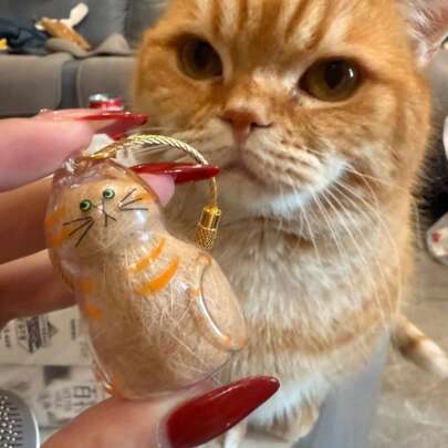 1pc Transparent Cat Hair Capsule Pendant, Pet Hair Souvenir Keychain, Suitable For Cat Lovers, Bag Ornaments Or Room Decoration Display