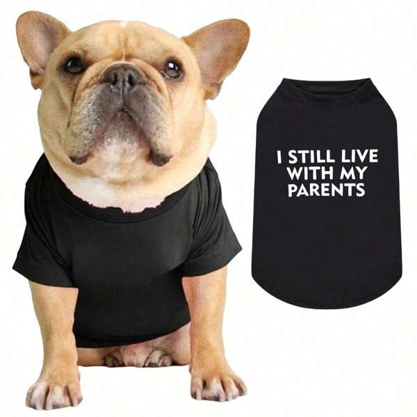 1pc Letter Printed T-Shirts Cozy Stretch Pet Dog Clothes For Chihuahua Summer Pug T-Shirts Yorkshire Cat Clothing