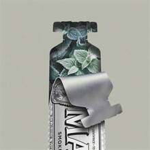 Toothpaste - Smokers Whitening Mint - 查看 5