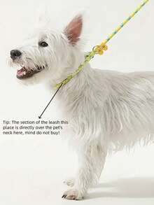 1pc Hands-Free Dog Leash, Adjustable Crossbody Canine Lead, Polyester Fiber Braid, Reflective Outdoor Walking Leash For All Dogs - Multicolor - View 6