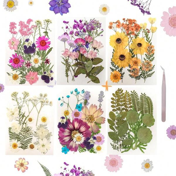 Dried Pressed Flowers For Resin Mold Dry Flower Real Leaves Bulk With Tweezers Natural Herbs Kit For Scrapbooking DIY Art Crafts Candle Jewelry Making Nails Floral Decoration
