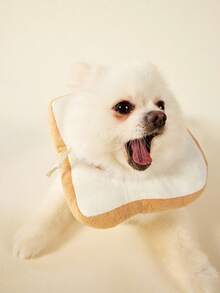 PETSIN 1pc Adjustable Cat Collar Cat Soft Collar Anti Licking Bite Cat Elizabethan Collar