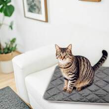 1pc Non-Electric Pet Heating Pad (No Heating Function), Insulation Dog Bed Mat, Cat Bed Mat, Insulation Pet Dog Pad, Pet Cat Bed, Pet Blanket, Suitable For Pet Cats And Dogs Indoor/Outdoor Activities In Winter, Washable Anti-Slip Dog/Cat Bed Pad (Grey)