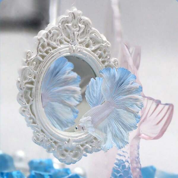 Betta Exercise Mirror,Gorgeous Elegant Circle Betta Mirror With Floating Ball ,Training Mirror Toy Mirrors Betta Mirror Betta Fish Mirror,Suitable For Aquarium Decoration Fish Tank,Beneficial For Betta Fish To Improve Body Color, Enhance Expressiveness, And Expand Tail And Fins ﻿