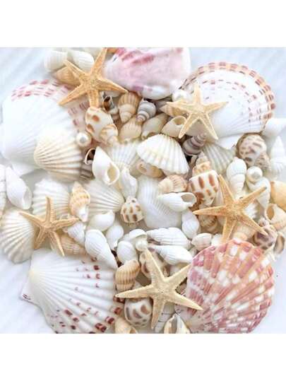 Approx. 100pcs/Box Assorted Natural Sea Shells - For DIY Jewelry Making, Fish Tank Decor, Bathroom Decor, Party Candles, Wedding Decoration, Craft Projects