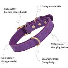 Collar vintage de bloqueo de color CP250-1, collar ajustable y a prueba de choques para perros medianos y grandes