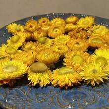 10/20/60 قطعة من أزهار البابونج المجففة الطبيعية للخارج - مصنوعة من مادة القش - زخرفة DIY والأعراس والهالوين والكريسماس وترتيب الطاولة وتشكيلات عباد الشمس والزهور الأخرى