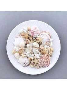 约 100 件/盒各种天然贝壳 - 适用于 DIY 珠宝制作、鱼缸装饰、浴室装饰、派对蜡烛、婚礼装饰、工艺项目 - 彩色 - 查看 2