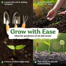 Black Nightshade Seeds Heirloom, Open Pollinated For Herb Garden/Container - 50 Seeds, Winter Hardy Zone 5-9, USDA Organic, Perfect Cultivation