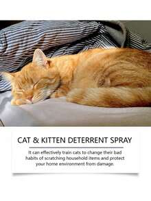 Cat Care Spray - Reduces Scratching & Chewing, Home Protection Spray - Multicolor - View 6