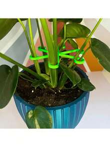 4pcs/1set Plant Stem Support Frames, Turtle-Back Bamboo Support And Fixation Devices, Anti-Toppling Brackets, Hydroponic Branch And Stem Fixation Flowerpot Racks, Horticultural Flowers And Green Plants, Plastic Gardening Tools, Indoor Climbing Plant Plastic Plant Brackets