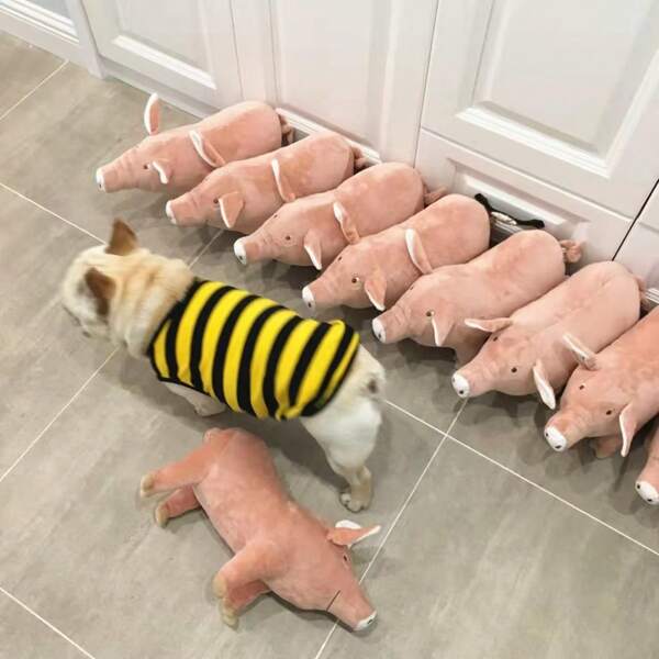 1pc Cute Realistic Pink Pig/Cat/Dog Plush Toy, Comfort & Stress Relief Toy