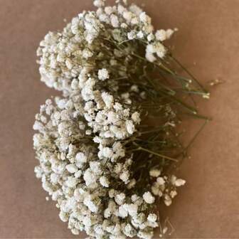 Caja de 50 piezas de flores de respiración de bebé y otras flores secas - Para moldes de resina, artesanía, ramos de flores blanco marfil para accesorios de cabello, coronas de boda, floreros de mesa, decoración del hogar