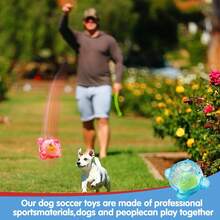 1 Tpr Đồ chơi bóng tennis cao su hình chai phát ra âm thanh, Câu đố làm sạch răng, dai và dễ vệ sinh, Huấn luyện tương tác, Đồ chơi tự giải trí cho mèo và chó có thể bóp được, Đồ chơi nổi ngoài trời; Đồ chơi cho thú cưng, Đồ dùng cho thú cưng, Đồ dùng cho chó, Đồ dùng cho mèo, Đồ chơi cho chó, Đồ chơi cho mèo, Những thứ không thể thiếu khi nuôi mèo và chó, Quà tặng; Bãi biển; Mặt trời; Du lịch; Mát mẻ - Nhiều màu - Xem 5