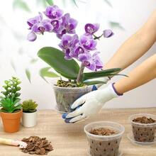 AGAGAEDFDZ Orchid Pot, 8 Pack 4 Inch Orchid Pots With Holes And Saucers,Clear Plastic Flower Plant Pot For Indoor Outdoor Plants,Slotted Orchids Planter(4Inch) - 3 Inch - View 6