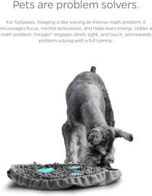 Forager Slow Feeder Bowls With SoftSnout & Non-Slip Backing, Dog Puzzle Toys & Snuffle (Meadow Natural) - 草地池塘 - 查看 6