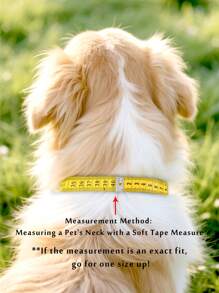 1 Pieza Collar Cubano de Hip Hop para Mascotas, Collar de Mascota con Imitación de Diamantes, Accesorios de Collar de Aleación para Mascotas, Accesorios de Estilo Hip Hop, Adecuado para Uso Diario y Fiestas, Regalos de Halloween y Navidad (Se recomienda pedir una talla talla grande grande)