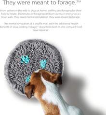 Forager Slow Feeder Bowls With SoftSnout & Non-Slip Backing, Dog Puzzle Toys & Snuffle (Meadow Natural) - 草地池塘 - 查看 4