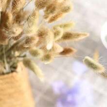 60/120/240 件波西米亚风格人造花 - 天然干燥兔尾巴蒲苇、多色蒲公英花，适用于家庭、婚礼、办公室、咖啡厅装饰、情人节和母亲节礼物 - 彩色 - 查看 20