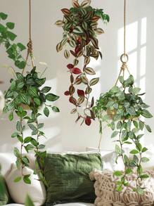 1/2/4pcs Artificial Plants, Hitchhike,Four Choices,A,Red Zebrina,Inchplant,B,Green Zebrina,C,Peperomia,D,Fittonia Inchplant Green Decorations Without Pots For Year Round Decorations, School Dormitory, Office Decorations, Parties, Birthdays, Home Decorations, Decorations For Hotels, Restaurants, Living Rooms, Bedrooms, Weddings, Kitchens And Garden Decorations