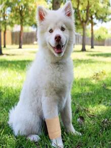 4 Rolos Bandagem Adesiva Autoadesiva Proteção para Dedos Bandagem Elástica Coesiva Fita Veterinária para Primeiros Socorros, Esportes, Animais, Banda Elástica, Bandagem Diária para Animdeaixcíes, Esportes, Punho e Tornozelo - Cor Aleatória, Bandagem Adesiva Respirável Bandagem Adesiva Elástica Adequada para Animais de Estimação, Esportes