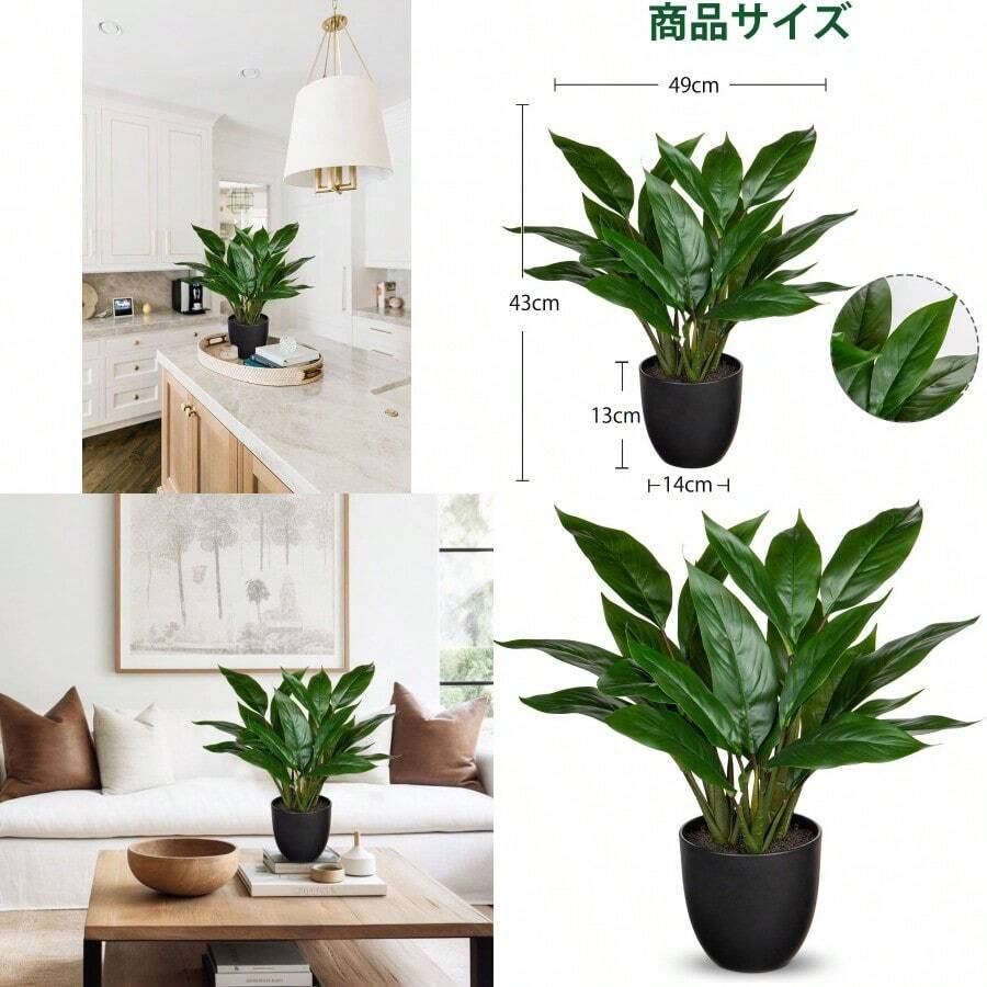 Vases