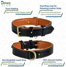 Pet Basic Dog Collars - Black - View 2
