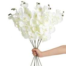 1/3/5 piezas de 70 cm Ramas de flores de orquídea Phalaenopsis artificiales de tacto real para decoración del hogar, oficina, boda, verano, otoño, escuela, dormitorio, oficina, fiesta, vacaciones, cumpleaños, 4 estaciones, puerta, hotel, restaurante, sala de estar, dormitorio, boda, cocina, jardín, rosa decorativa, estilo decorativo