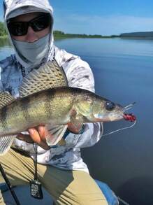 GOTURE Goture 1pc Glow-In-The-Dark Squid Jig Lure – 15cm/5.9in 60g/2.1oz Octopus Soft Bait For Night Fishing