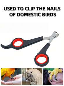 1/5Pcs Stainless Steel Pet Nail Clippers - High-Precision Trimmer Scissors For Dogs, Cats, Birds, Parrots & Guinea Pigs | Durable Claw & Paw Cutter With Ergonomic Non-Slip Handle | Professional Grooming Tool For Small Animals - Easy To Use & Stress-Free Nail Trimming & Shaping